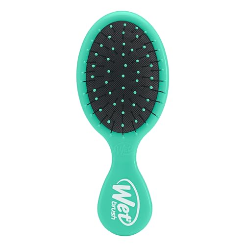 Wet Brush Squirt Detangling Brush, Amazon Exclusive Aqua, Mini Detangler, No Tangle Ultra-Soft IntelliFlex Bristles, Wet & Dry Styling Hairbrush for Women & Men, All Hair Types -