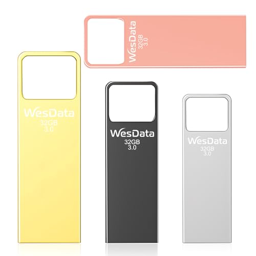 WesData 32GB USB 3.0 Flash Drive 4-Pack with USB-C Adapters, Metal Mini Design, 100MB/s Read Speed, Storage Case Included, Pink Gold Gray Silver - Demo Store