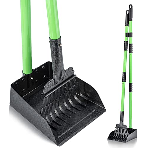 MXF Pooper Scooper, Dog Pooper Scooper Long Handle Stainless Metal Tray and Rake Set for Medium Small Dogs Heavy Duty - Use on Grass, Dirt or Gravel - Pet Supplies (Green) -