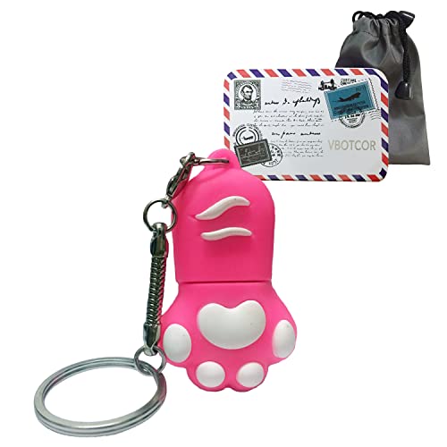 USB Flash Drive Cartoon Pen Stick 2.0 Novelty & Cute Memory Thumb Jump Drive Data Storage U Disk Paw 16GB - Demo Store