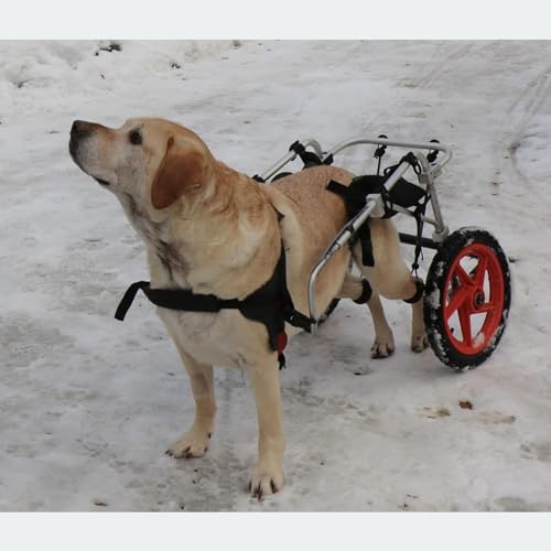 Pet Supplies Dog Wheelchair Stroller, for Disabled and paralyzed hind Legs, Large pet Limb Mobility aid, Wheeled Lightweight -