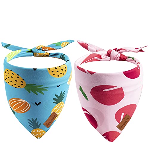 Dog Birthday Party Supplies,cat Birthday Bandana Double Layer Fabric pet Scarf for Gotcha Day (Fruit, X-Large) -