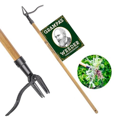 Grampa's Weeder - The Original Stand Up Weed Puller Tool with Long Handle - Made with Real Bamboo & 4-Claw Steel Head Design - Easily Remove Weeds Without Bending, Pulling, or Kneeling. -