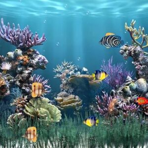 Aquarium 1 [Download] – AmaSync Store