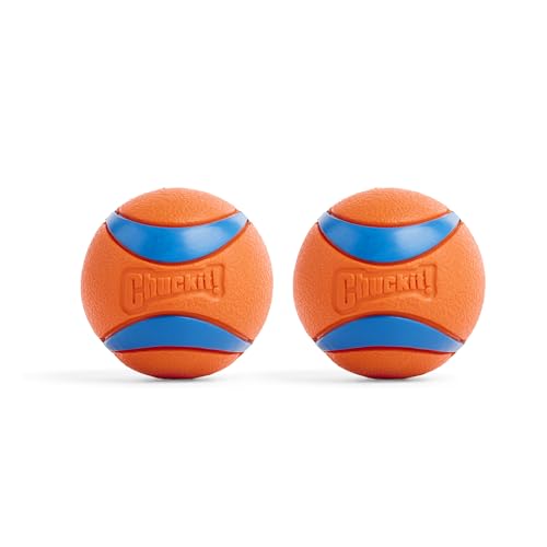Chuckit! Ultra Ball Dog Toy - Medium Bouncy Fetch Balls For Dogs 20-60 lbs - Made from Durable Rubber - Floating Water Pet Toys - Size Medium - 2.5-inch Diameter - Pack of 2 -