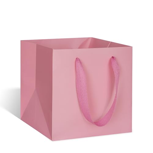 ADIDO EVA Pink Square Gift Bags Small Size Square Bottom Paper Bags with Handles for Party Favor, Shopping Packaging Bag (6x6x6 In, 10 CT) -