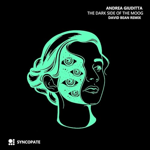 The Darkside of the Moog (David Bean Remix) -