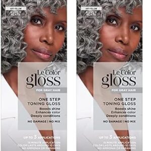 L'Oreal Paris Le Color Gloss One Step Toning Gloss, In-Shower Hair Toner with Deep Conditioning Treatment Formula for Gray Hair, Silver Slate, 1 Kit (Pack of 2) -