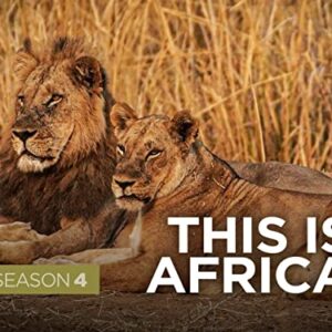 This Is Africa -