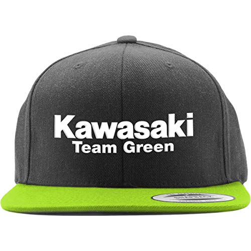 Factory Effex Youth Kawasaki Team Green Trucker Hat (BLACK/GREEN) -