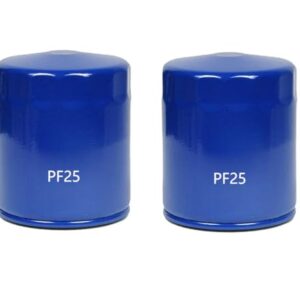 Compass-Yang PF25 (19187300) Engine Oil Filter Replaces Baldwin B27, Wix 51751 51069 51069R, Fleetguard LF651, GMC 6437412,6438261, Donaldson P550025 (pack of 2) -