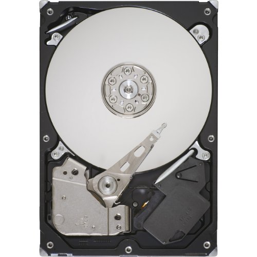 ST3250310AS SEAGATE 250GB BARRACUDA SATA-300 7200RPM BUFFER: 8MB INTERNAL HARD DRIVE (Renewed) -